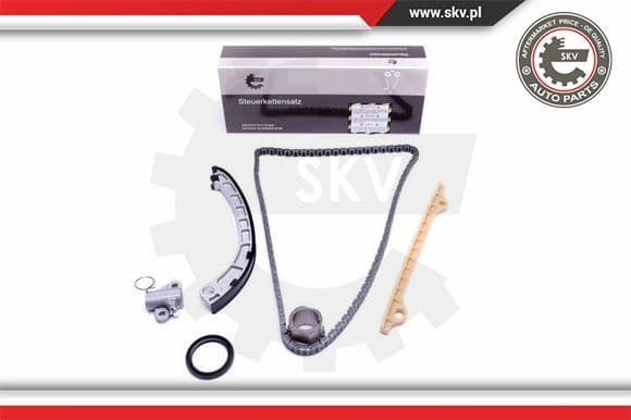 Timing Chain Kit 21SKV217