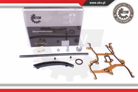 Timing Chain Kit 21SKV238