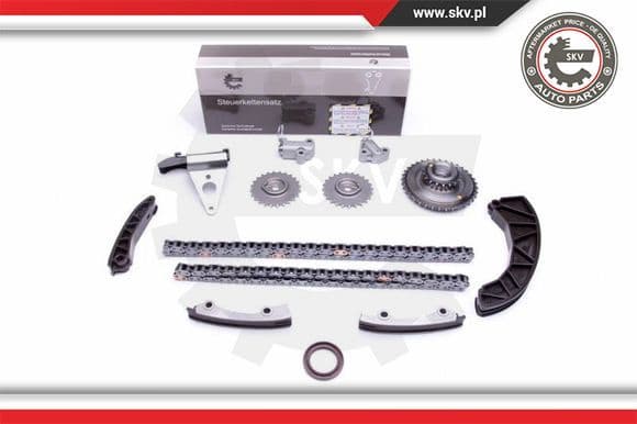 Timing Chain Kit 21SKV225