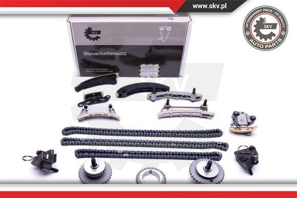Timing Chain Kit 21SKV175