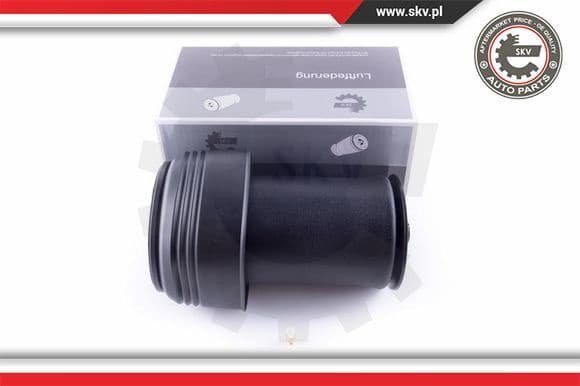 Air Spring, suspension 58SKV028