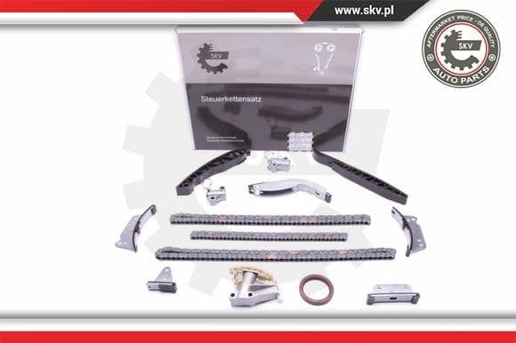 Timing Chain Kit 21SKV223