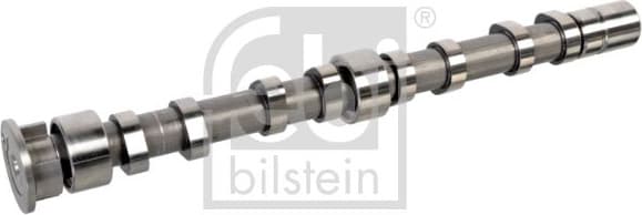 Camshaft 176003