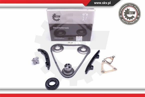 Timing Chain Kit 21SKV119