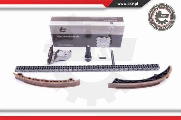 Timing Chain Kit 21SKV129