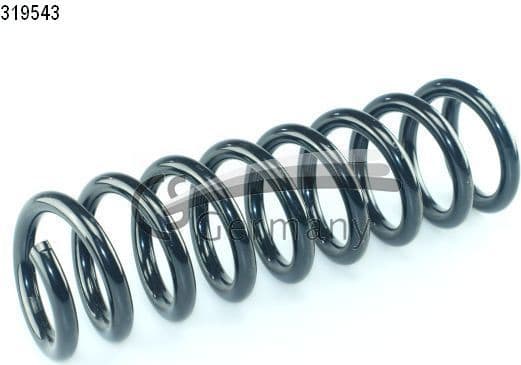 Suspension Spring 14319543