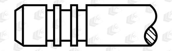 Intake Valve V80002