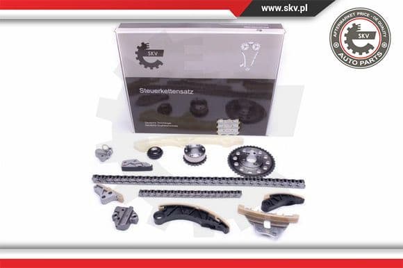Timing Chain Kit 21SKV176
