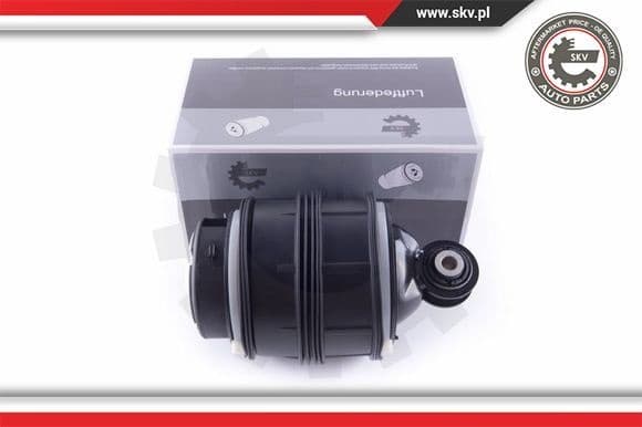 Pneumatic spring, air spring 58SKV019