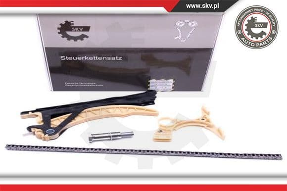 Timing Chain Kit 21SKV179