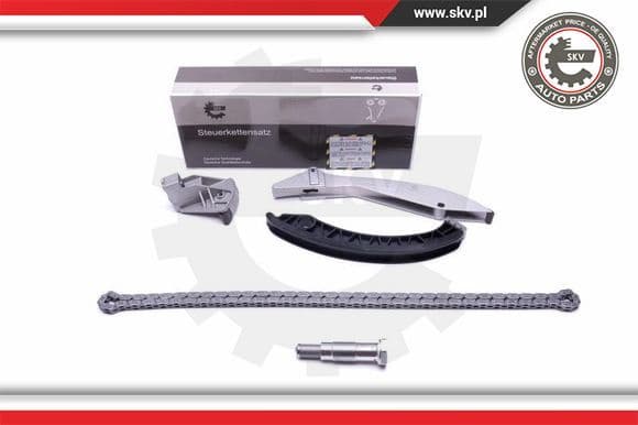 Timing Chain Kit 21SKV133