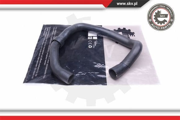 Radiator Hose 43SKV848