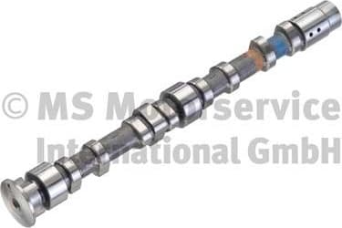 Camshaft 50007018
