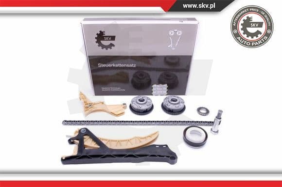 Timing Chain Kit 21SKV168