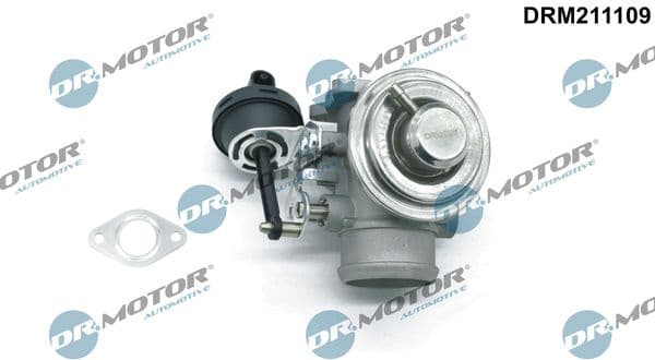 EGR Valve DRM211109