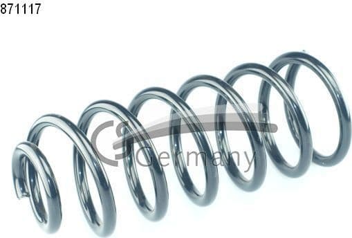 Suspension Spring 14871117