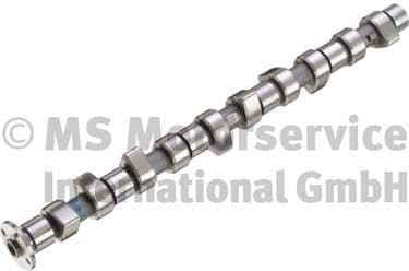 Camshaft 50006337