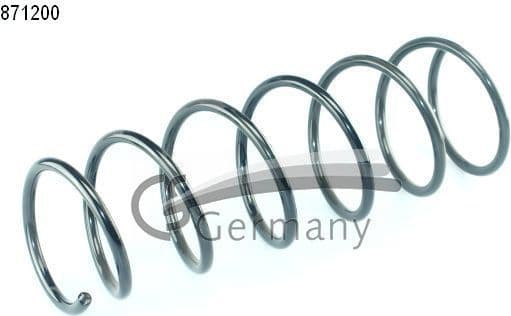 Suspension Spring 14871200