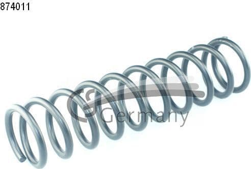 Suspension Spring 14874011