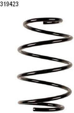 Suspension Spring 14319423