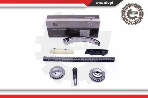 Timing Chain Kit 21SKV143