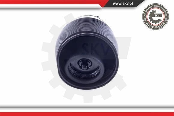 Air Spring, suspension 58SKV005 - image 3