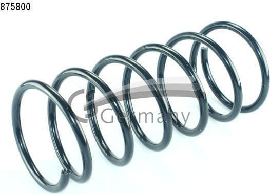 Suspension Spring 14875800