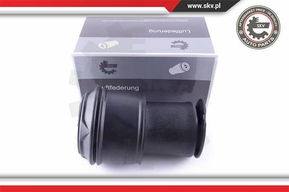 Air Spring, suspension 58SKV023