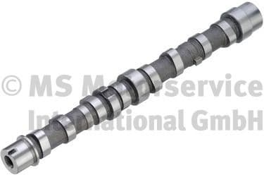 Camshaft 50007799