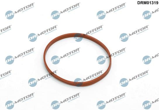 Gasket, throttle body DRM01319