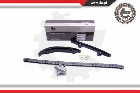Timing Chain Kit 21SKV121