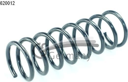 Suspension Spring 14620012