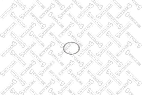 Seal Ring, oil drain plug 81-65111-SX