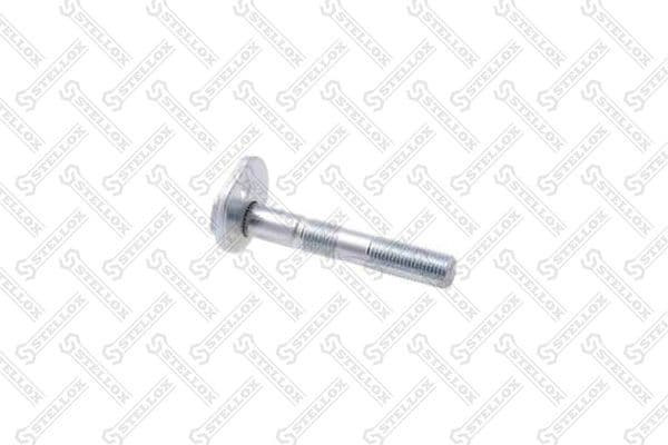 Camber Correction Screw 79-01102-SX