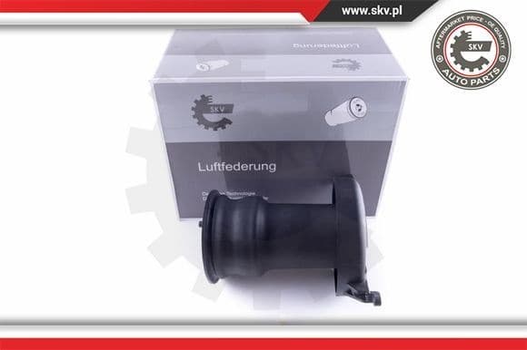 Air Spring, suspension 58SKV015