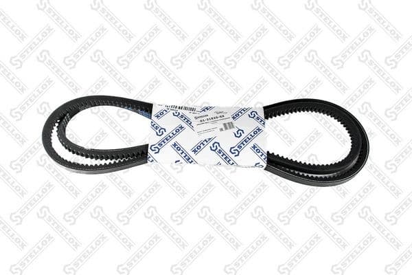 V-Belt 01-31825-SX