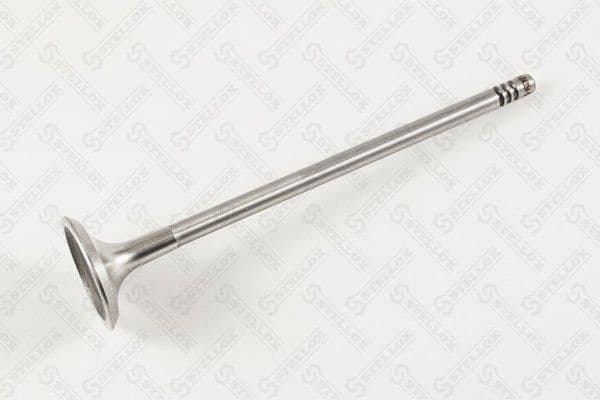 Exhaust Valve 01-24354-SX