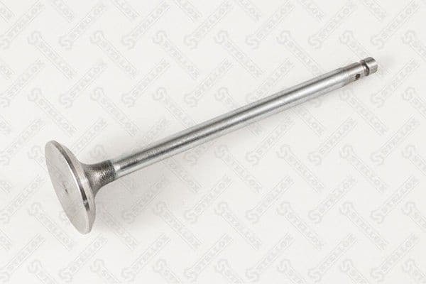 Intake Valve 01-24385-SX