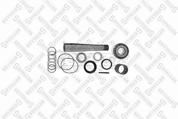 Repair Kit, kingpin 84-16028-SX