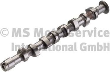 Camshaft 50006380