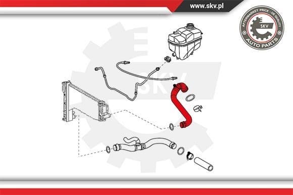 Radiator Hose 24SKV299 - image 4
