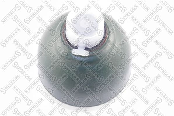 Pressure Accumulator, pneumatic suspension 70-00084-SX