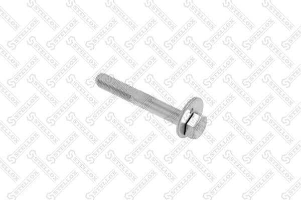 Camber Correction Screw 79-01100-SX