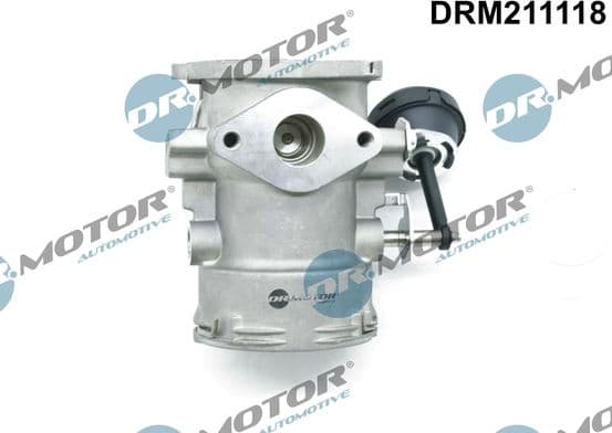 EGR Valve DRM211118