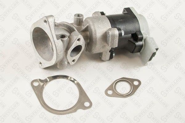 EGR Valve 01-25119-SX