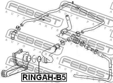 Gasket, EGR valve pipe RINGAH-B5 - image 2