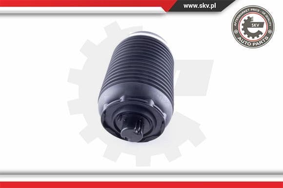 Air Spring, suspension 58SKV030 - image 2