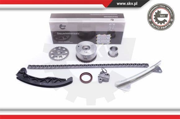 Timing Chain Kit 21SKV229