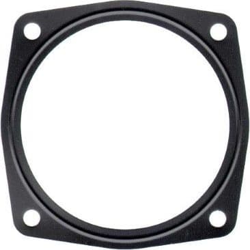 Gasket, intake manifold housing 876.580