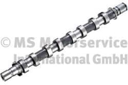 Camshaft 50007774